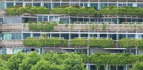 Edificio com fachada sustentável