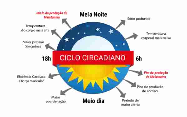 ciclo circadiano ilustrativo