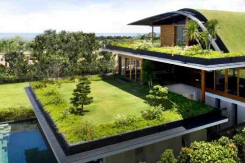 casa com telhado verde